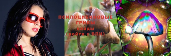 прущий лед Армянск
