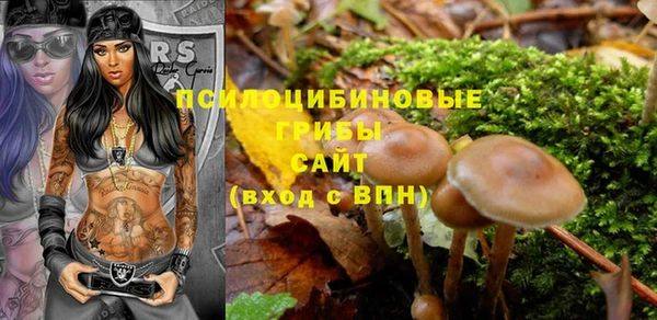 хмурый Арсеньев