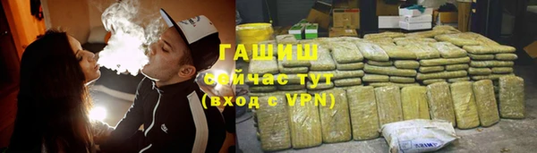хмурый Арсеньев