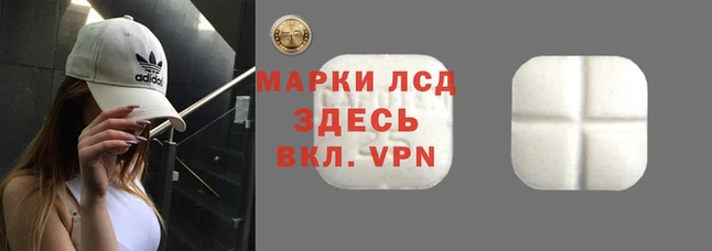 хмурый Арсеньев