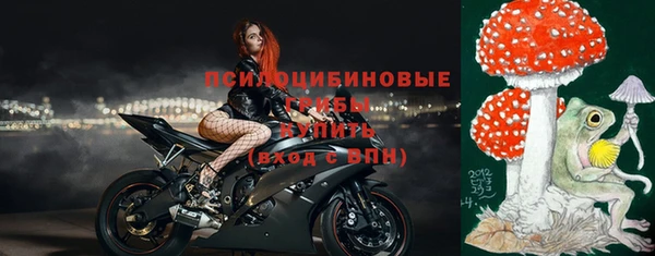 хмурый Арсеньев