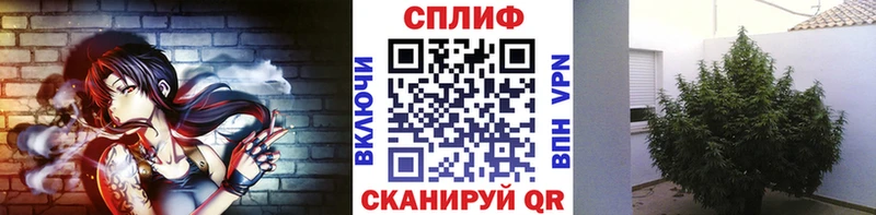 Канабис индика Рузаевка